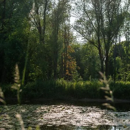 Lodge Le Nichoir Du Marais - écolodge *