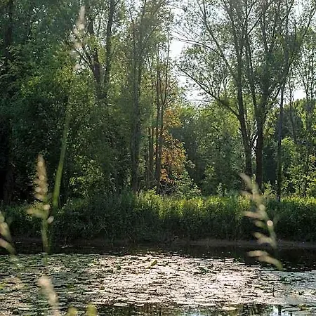 Le Nichoir Du Marais - *
